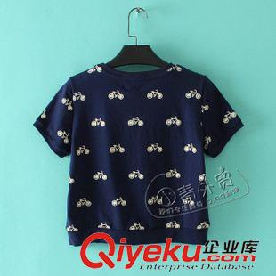 6月8日新品 V157 小青家夏季新款百搭卡通圖案圓領(lǐng)短袖衛(wèi)衣上衣+半裙兩件套裝