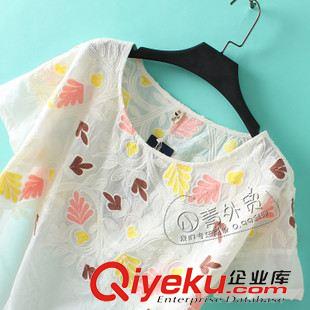 6月8日新品 V106 小青家 夏季新款百搭彩色繡花圖案插肩短袖女式襯衣襯衫