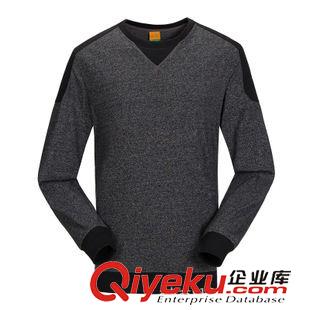 騎行服 廠家直銷 愛(ài)迪塔仕）速干衣男款長(zhǎng)袖戶外運(yùn)動(dòng)透氣排汗快干衣51107原始圖片2
