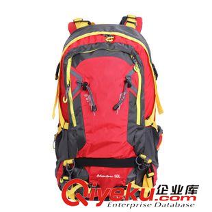 戶外裝備 廠家直銷 愛迪塔仕情侶戶外旅行徒步登山舒適加厚防震雙肩包50L