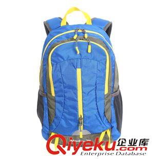 戶外裝備 廠家直銷 愛迪塔仕戶外登山包 雙肩包 20L徒步旅行背包原始圖片2