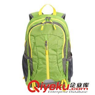 戶外裝備 廠家直銷 愛迪塔仕戶外登山包 雙肩包 20L徒步旅行背包原始圖片3