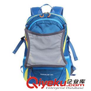 戶外裝備 廠家直銷 愛迪塔仕背包戶外旅行徒步登山舒適加厚防震雙肩包