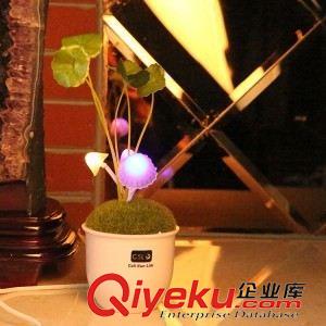 萌尚tj爆款 情人節熱賣陶瓷版 樹脂版 PVC塑料布阿凡達蘑菇燈  光感應蘑菇燈