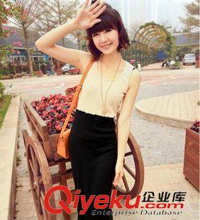 4月新款 爆2013新款韓版復(fù)古女ol修身中長(zhǎng)裙拼接背心裙 撞色連衣裙原始圖片2