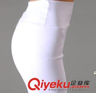 哈倫褲小腳褲系列 爆新款 糖果色打底褲 韓版顯瘦彈力長褲 女鉛筆褲 小腳褲