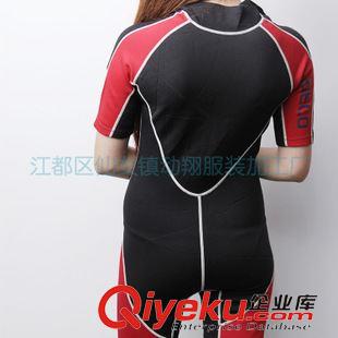 衣服 專業(yè)供應(yīng) CL-4成人短袖短褲沖浪衣 運動護具 質(zhì)量保證  量大價優(yōu)