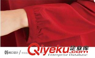 2015孕婦秋裝 大碼孕婦裝韓版蕾絲花邊寬松孕婦上衣秋季長袖大版孕婦上衣批發原始圖片3
