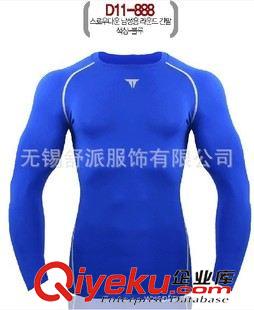 男長(zhǎng)袖 韓國(guó)原單 小額批發(fā) 排汗快干男長(zhǎng)袖健身緊身服D11 多個(gè)顏色