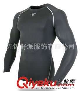 男長(zhǎng)袖 韓國(guó)原單 小額批發(fā) 排汗快干男長(zhǎng)袖健身緊身服D11 多個(gè)顏色