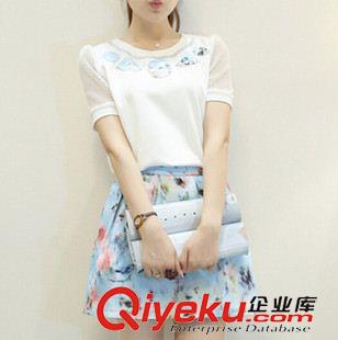 休閑套裝 2015夏季新款女裝鏤空短袖蓬蓬裙2件套3D印花碎花連衣裙套裝原始圖片2