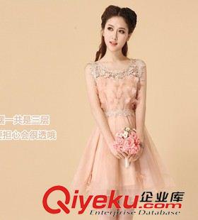 3月份新款 蝴蝶連衣裙 2015新款甜美夏裝女裝 鏤空刺繡蕾絲歐根紗公主裙原始圖片3
