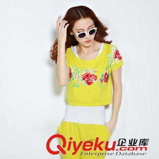 5月 上旬新款 2015新款夏季運(yùn)動(dòng)套裝女七分褲三件套時(shí)尚印花休閑套裝原始圖片2