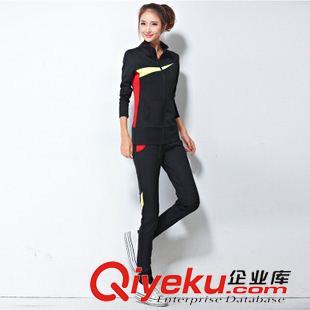 新品秋季休閑套裝 2015秋季新款時尚套裝 gd運(yùn)動休閑套裝女運(yùn)動服裝衛(wèi)衣套裝批發(fā)原始圖片2