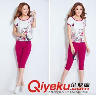新品秋季休閑套裝 2015新款時(shí)尚印花運(yùn)動(dòng)套裝女夏裝短袖休閑套裝大碼寬松顯瘦兩件套原始圖片3