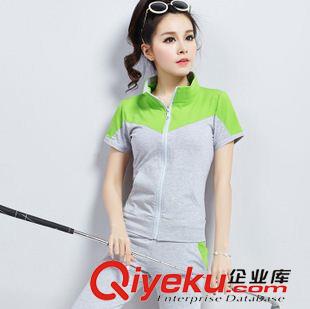 新品秋季休閑套裝 2015歐洲站夏裝新款時尚套裝女夏短褲小香風氣質條紋潮休閑套裝