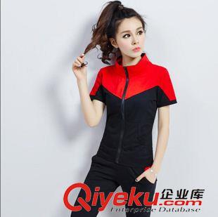 夏季新品上市 2015新款韓版運動套裝女夏顯瘦休閑大碼修身顯瘦短袖純棉潮原始圖片2