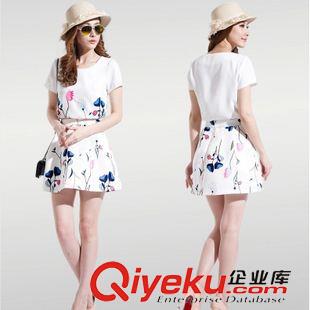 夏季新品上市 批發(fā)2015 夏季新款時尚印花套裙韓版小清新修身顯瘦兩件套原始圖片3