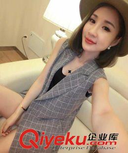 秋裝 {dy}季 格子馬夾女秋中長款條紋外套坎肩無袖西裝背心馬甲大碼時尚修身OL原始圖片2