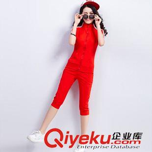 衛(wèi)衣/運(yùn)動(dòng)休閑套裝 Leisure suit 運(yùn)動(dòng)服女秋學(xué)生體育運(yùn)動(dòng)套裝修身純色休閑套裝工作服兩件套批發(fā)原始圖片2