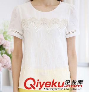 夏季新品7月03 6737夏裝新款韓國東大門  女式圓領打底衫  女裝短袖T恤原始圖片2