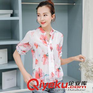 代銷(xiāo)實(shí)拍區(qū) 實(shí)拍2015夏新款韓版寬松中長(zhǎng)款繡花圓領(lǐng)短袖雪紡衫女A字上衣潮裝