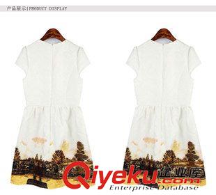 夏季新品7月30 歐洲站2015春夏季新款女裝氣質(zhì)名媛修身A字裙復(fù)古油墨印花連衣裙原始圖片2