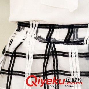 夏季新品7月30 2015夏季韓版小香風(fēng)歐根紗無袖蝴蝶結(jié)上衣刺繡格紋短裙兩件套模特原始圖片3