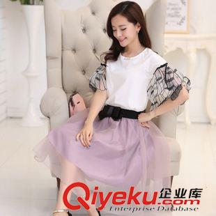 夏季新品7月30 2015歐洲站夏裝韓版兩件套雪紡連衣裙小香風(fēng)蝴蝶袖女裝氣質(zhì) 套裝原始圖片3