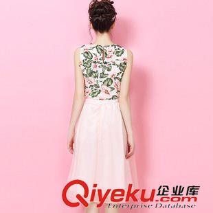 夏季新品7月25 2015夏裝新款連衣裙套裝女無袖印花雪紡衫+歐根紗半身長裙兩件套原始圖片2