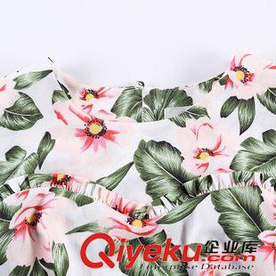 夏季新品7月25 2015夏裝新款連衣裙套裝女無袖印花雪紡衫+歐根紗半身長裙兩件套原始圖片3