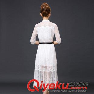 夏季新品7月25 2015歐美dp夏季新款氣質修身顯瘦鏤空中袖蕾絲連衣裙中長款裙子原始圖片3