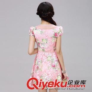 夏季新品7月25 2015夏季碎花連衣裙女修身短袖新款鏤空刺繡氣質(zhì)時尚打底裙子潮原始圖片3
