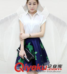 夏季新品7月25 歐洲站2015早秋女修身名媛小香風(fēng)套裝襯衫印花半身裙兩件套連衣裙原始圖片3
