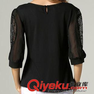 T恤 歐洲站2015夏季新款歐美風(fēng)加肥加大女裝胖MM蕾絲寬松中袖T恤上衣原始圖片2