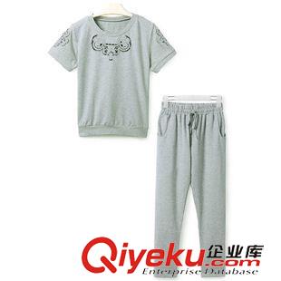 休閑套裝 歐洲站2015夏季新款圓領(lǐng)短袖T恤上衣休閑褲子衛(wèi)衣兩件套運(yùn)動(dòng)套裝原始圖片3