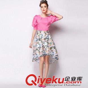 半身裙 實(shí)拍 歐洲站  2015夏季新款歐美風(fēng)時(shí)尚大牌女裝3D花朵半身蓬蓬裙原始圖片3