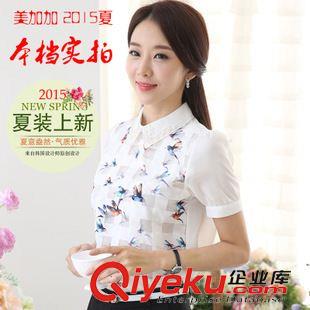 夏季新品7月12 雪紡衫女2015夏短袖年夏裝新款韓版印花休閑大碼女裝蕾絲打底衫潮原始圖片2