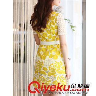 15秋新款 蕾絲連衣裙2015春秋女裝新款 韓版印花鏤空短袖中腰A字裙代發(fā)原始圖片3