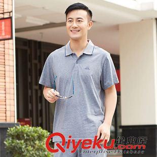 5.23號(hào)更新 休閑男士套裝2015夏款翻領(lǐng)短袖T恤休閑運(yùn)動(dòng)套裝二件套OZ1531090原始圖片2