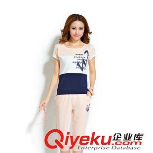 女套裝 2015艾克邦威夏季新款時尚休閑運動服套裝韓版休閑修身衛衣女