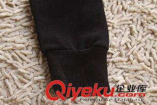 秋冬款套裝 實拍早秋新款套裝 女裝韓版休閑運動套裝女秋款運動服裝原始圖片3