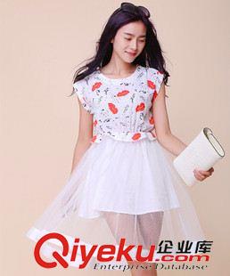 連衣裙 2015新款夏裝顯瘦甜美時(shí)尚印花上衣加網(wǎng)沙裙子連衣裙原始圖片2