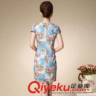 旗袍  唐裝 2015夏季女裝新款氣質淑女名媛短袖印花修身包臀改良款日常旗袍原始圖片3