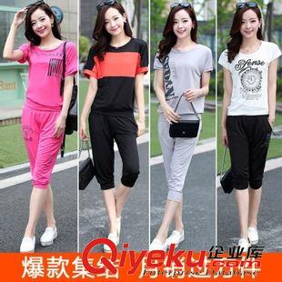 套裝 2015夏季新款女裝韓版兩件套印花雪紡連衣裙 半裙加上衣廠家批發(fā)