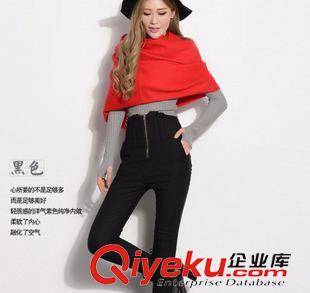 8.12 實(shí)拍2015秋冬彈力加絨加厚高腰拉鏈小腳褲修身顯瘦外穿打底褲女原始圖片2