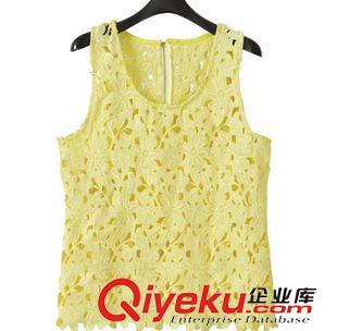 七月新款 2015夏裝新款歐美時尚鏤空蕾絲無袖印花短裙套裝女修身連衣裙原始圖片3