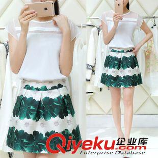 六月新款 2015媽媽裝連衣裙夏女裝新款歐美修身印花夏季兩件套連衣裙氣質(zhì)女