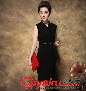 六月新款 2015夏季新款gddp氣質(zhì)職業(yè)修身通勤夏裝連衣裙女裝有大碼原始圖片3