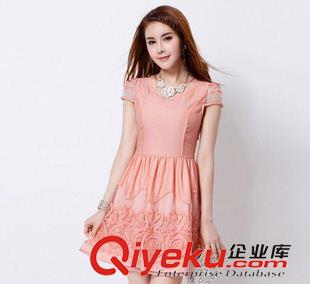 短袖連衣裙 2014夏裝新款 韓版修身女裝 歐根紗繡花短袖連衣裙原始圖片2
